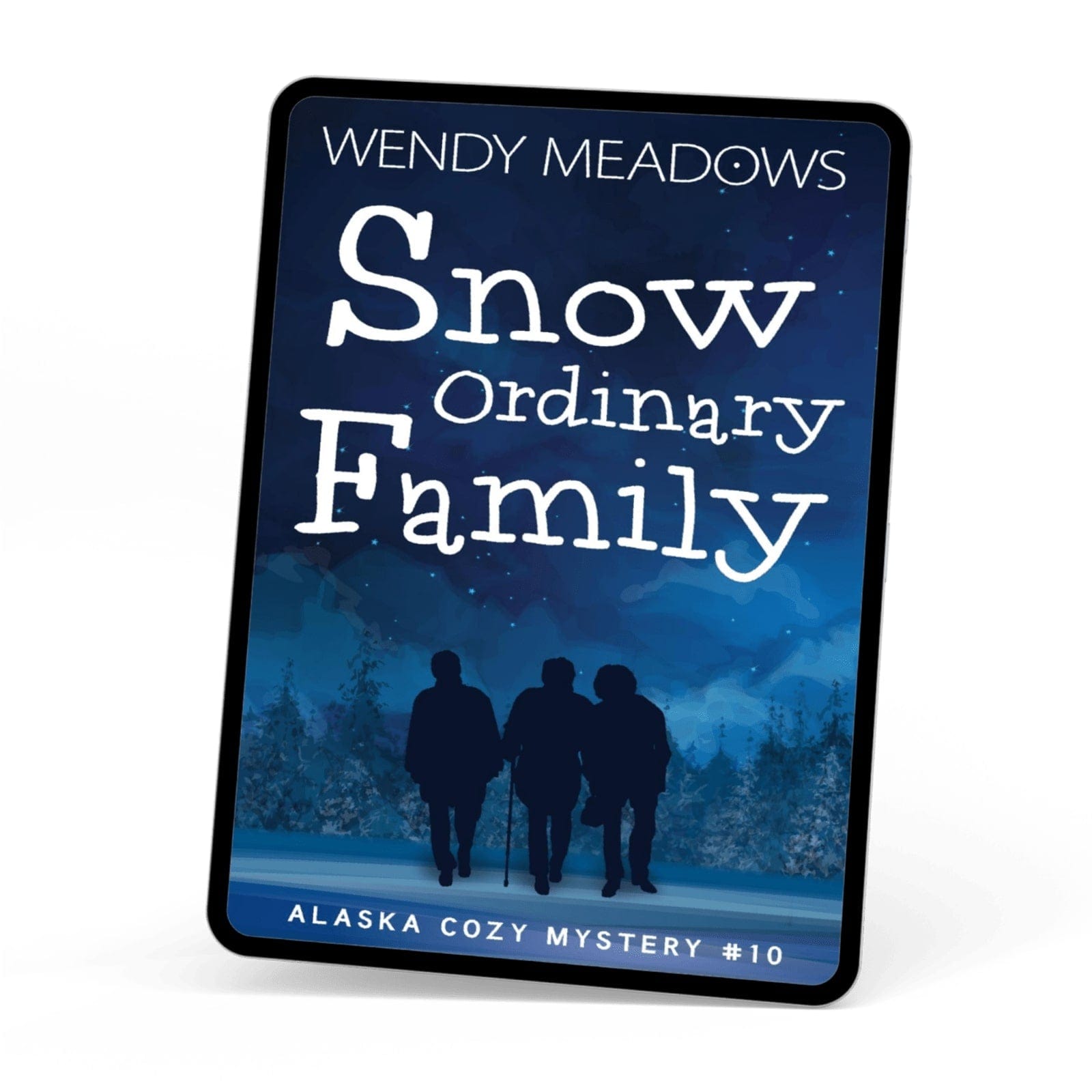Wendy Meadows Cozy Mystery Snow Ordinary Family (EBOOK)