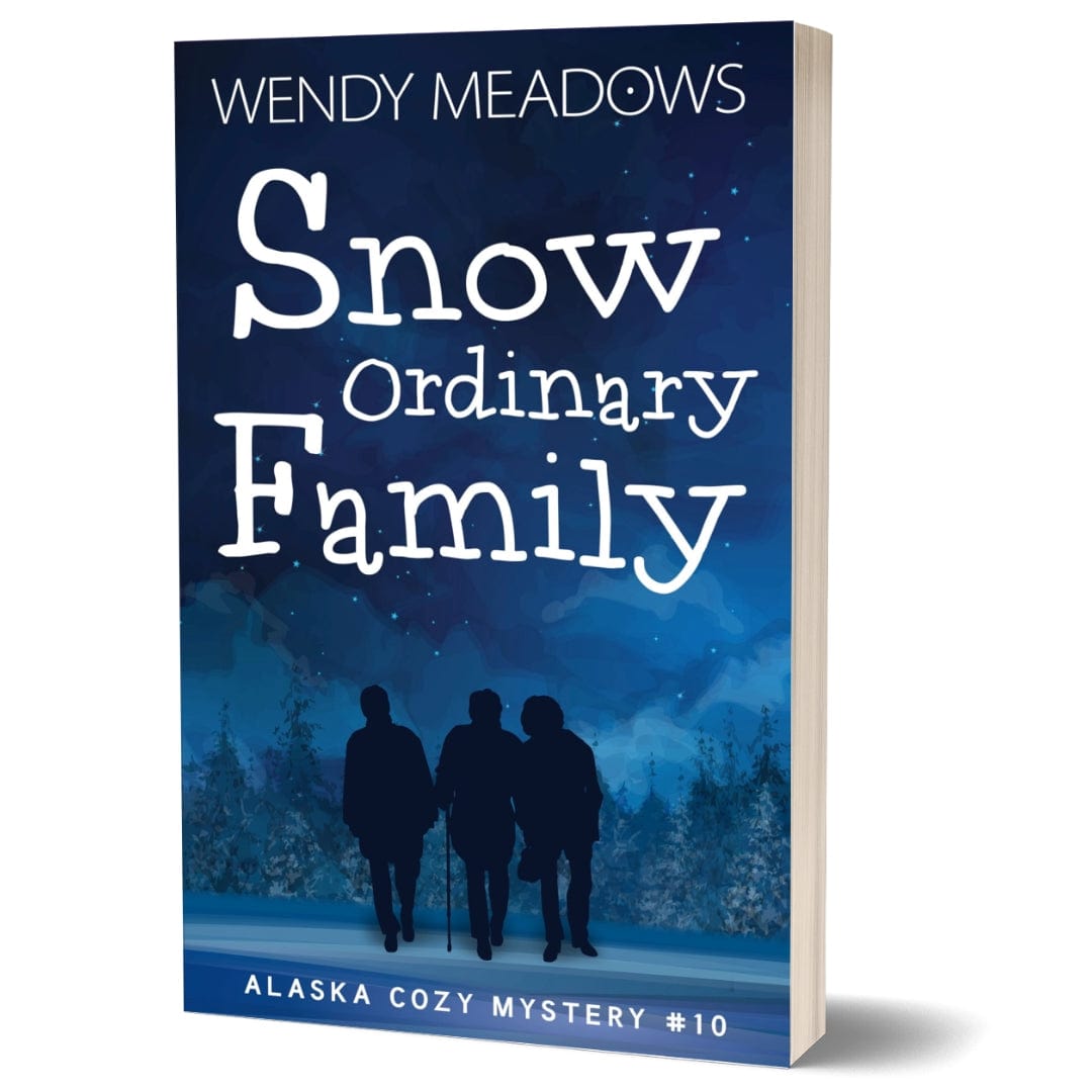 Wendy Meadows Cozy Mystery Snow Ordinary Family (PAPERBACK)